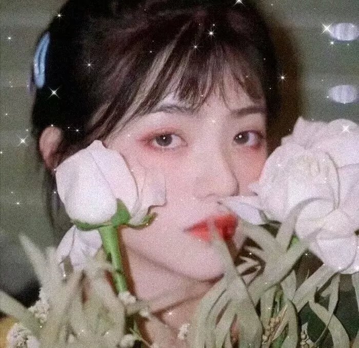 星际牛仔2021