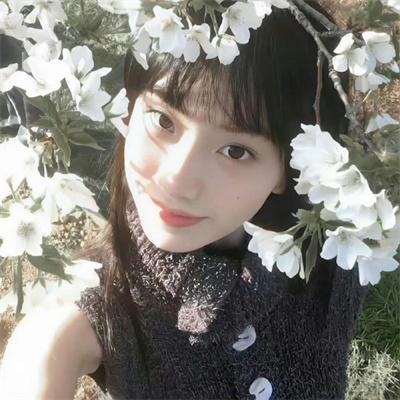 高台家的成员
